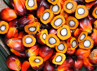What's next for sustainable palm oil, RSPO