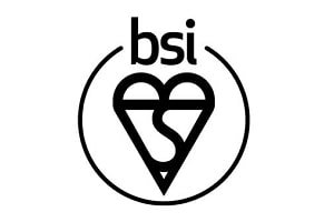 BSI, your partner in sustainability