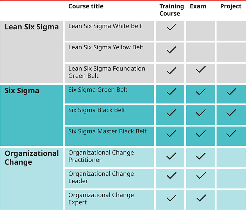 Certified Six Sigma Master Black Belt qualification table of requirements